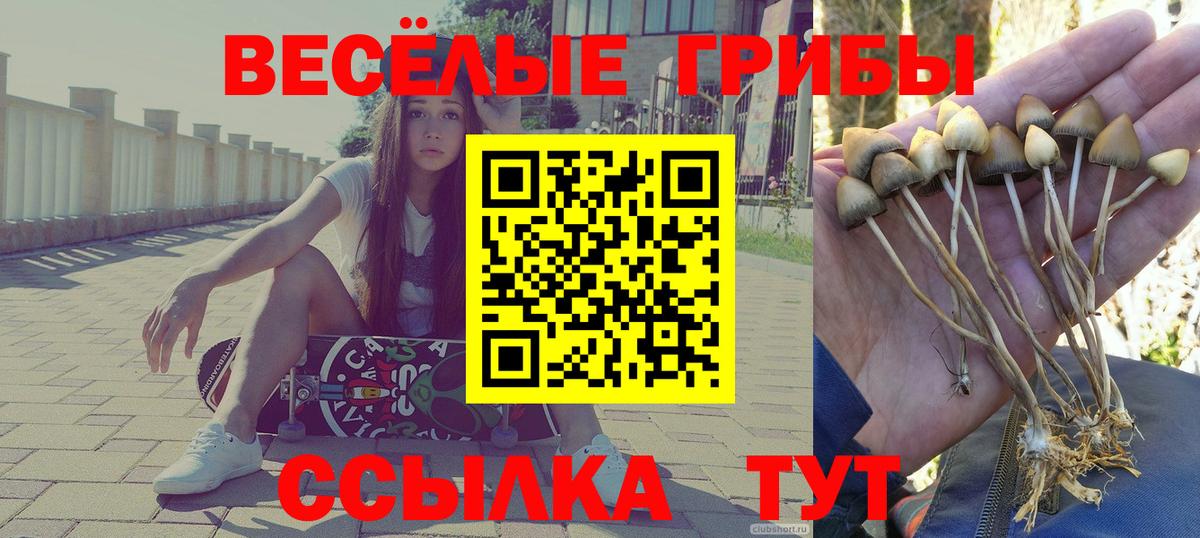 Галлюциногенные грибы мухоморы Саранск