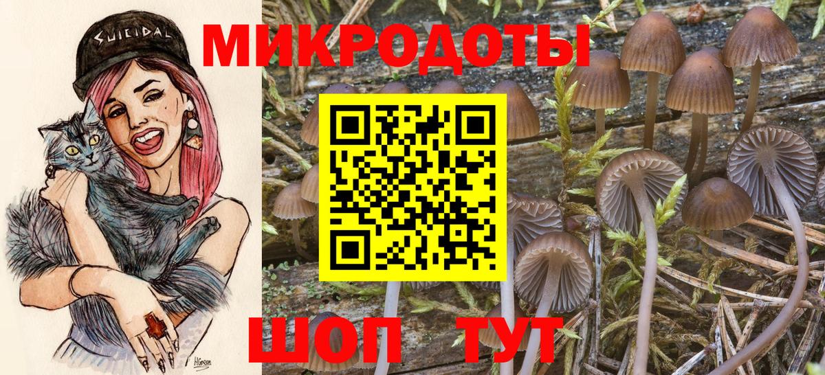 Галлюциногенные грибы MAGIC MUSHROOMS  Галлюциногенные грибы мухоморы  Вход с VPN  Саранск 